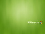 Windows Vista६1600*1200