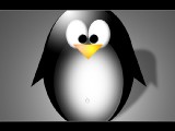Linux主題桌布2
